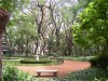 Botanical Gardens, Palmero, Buenos Aires.

Trip: B.A. to L.A.
Entry: Walking in Buenos Aires
Date Taken: 09 Oct/02
Country: Argentina
Taken By: Mark
Viewed: 638 times