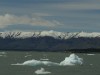 Icebergs in Lago Argentina

Trip: B.A. to L.A.
Entry: El Calafate
Date Taken: 22 Oct/02
Country: Argentina
Taken By: Mark
Viewed: 1427 times
Rated: 8.7/10 by 3 people