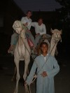 Camel Ride

Trip: Greece, Egypt and Africa
Entry: Nile Valley
Date Taken: 07 Nov/03
Country: Egypt
Viewed: 1070 times