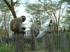 Vervet Monkeys

Trip: Greece, Egypt and Africa
Entry: Overland Tour - Kenya
Date Taken: 02 Dec/03
Country: Kenya
Taken By: Travis
Viewed: 1304 times
Rated: 10.0/10 by 1 person