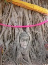 Buddha head caught in the roots of a tree, Wat Mahathat.

Trip: Brunei to Bangkok
Entry: Ayutthaya
Date Taken: 29 Dec/03
Country: Thailand
Taken By: Mark
Viewed: 1253 times
Rated: 1.0/10 by 1 person