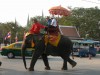 Elephant, Ayutthaya

Trip: Brunei to Bangkok
Entry: Ayutthaya
Date Taken: 29 Dec/03
Country: Thailand
Taken By: Mark
Viewed: 1179 times