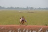 Family cycling through rice fields south of Ayutthaya