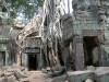 Ta Prohm, Angkor

Trip: Brunei to Bangkok
Entry: Angkor Wat
Date Taken: 04 Jan/04
Country: Cambodia
Taken By: Mark
Viewed: 1486 times
Rated: 6.5/10 by 2 people