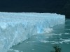 Perito Moreno

Trip: South America
Entry: Glaciers
Date Taken: 09 Mar/03
Country: Argentina
Taken By: Travis
Viewed: 1886 times
Rated: 9.1/10 by 15 people