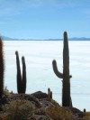 Salar de Uyuni

Trip: South America
Entry: Salar de Uyuni & Tupiza
Date Taken: 17 Jun/03
Country: Bolivia
Taken By: Travis
Viewed: 1554 times
Rated: 10.0/10 by 1 person