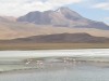 Flamingos in Southwest Bolivia

Trip: B.A. to L.A.
Entry: Salar de Uyuni
Date Taken: 02 Dec/02
Country: Bolivia
Taken By: Mark
Viewed: 1493 times
Rated: 10.0/10 by 2 people