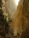 Saklikent Gorge

Trip: Greece, Egypt and Africa
Entry: Fethiye to Istanbul
Date Taken: 08 Oct/03
Country: Turkey
Taken By: Abi
Viewed: 1842 times
Rated: 10.0/10 by 1 person